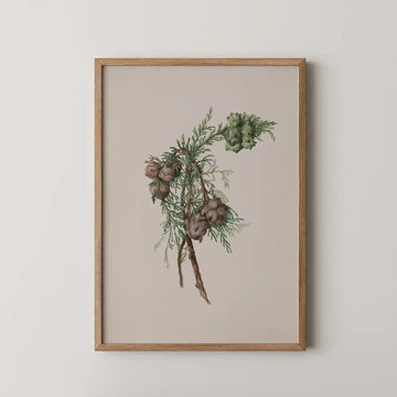 Framed watercolor painting of green pine cones and foliage on a pale background.