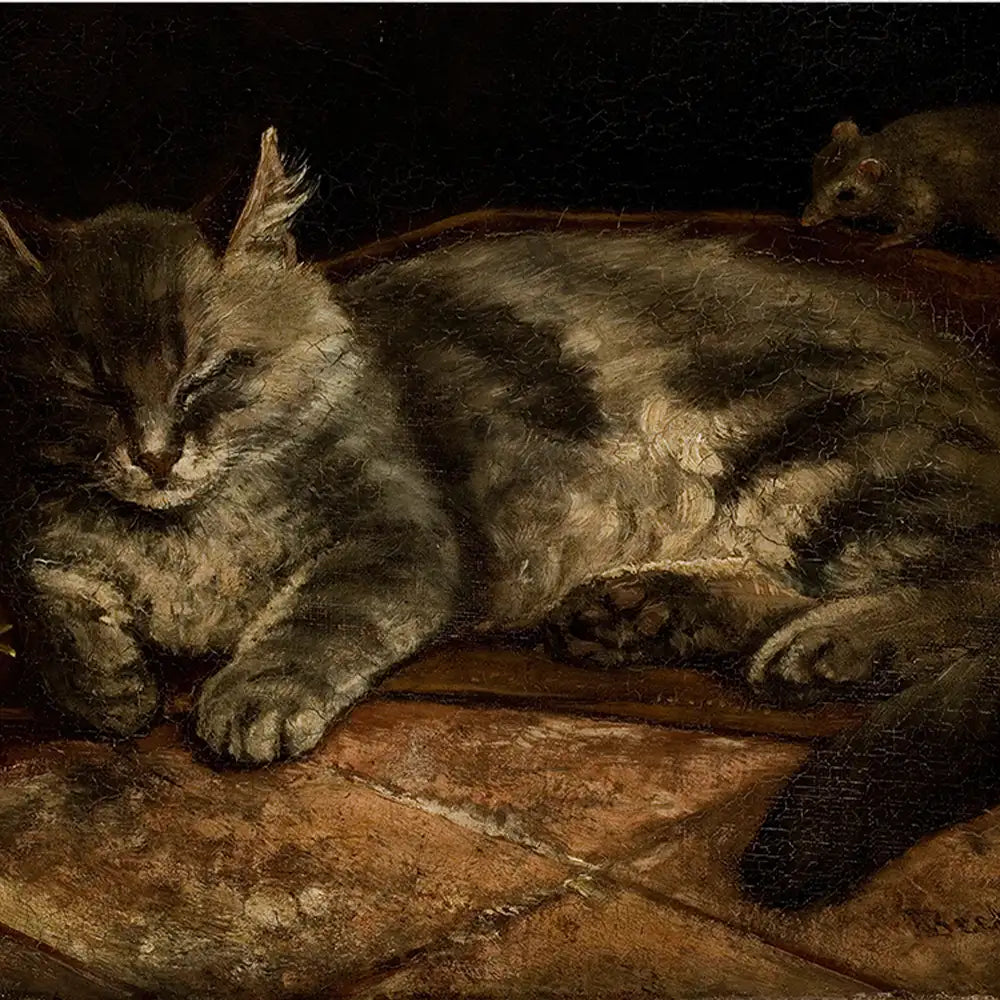 Sleeping gray cat on a textured surface with a small mouse in the background.