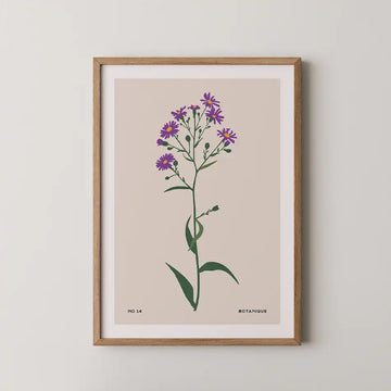 Purple Asters by Unknown Artist - Fine Art Print