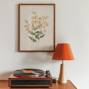Epidendrum polyanthum — póster en una ambientación de ejemplo; marco no incluido