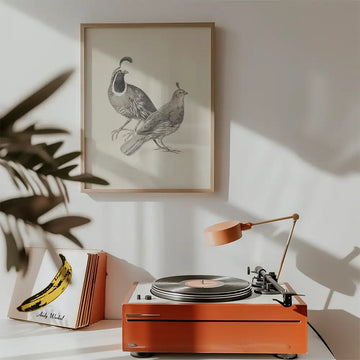 Gamble Quail — poster in an example room arrangement; frame not included